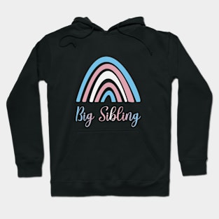 Big Sibling (Trans colors) Hoodie